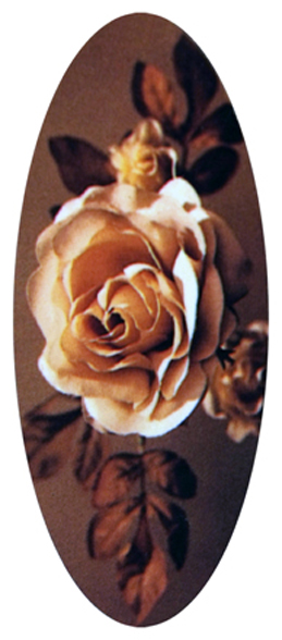 487 DA18-071-BR Imperial Rose Brown